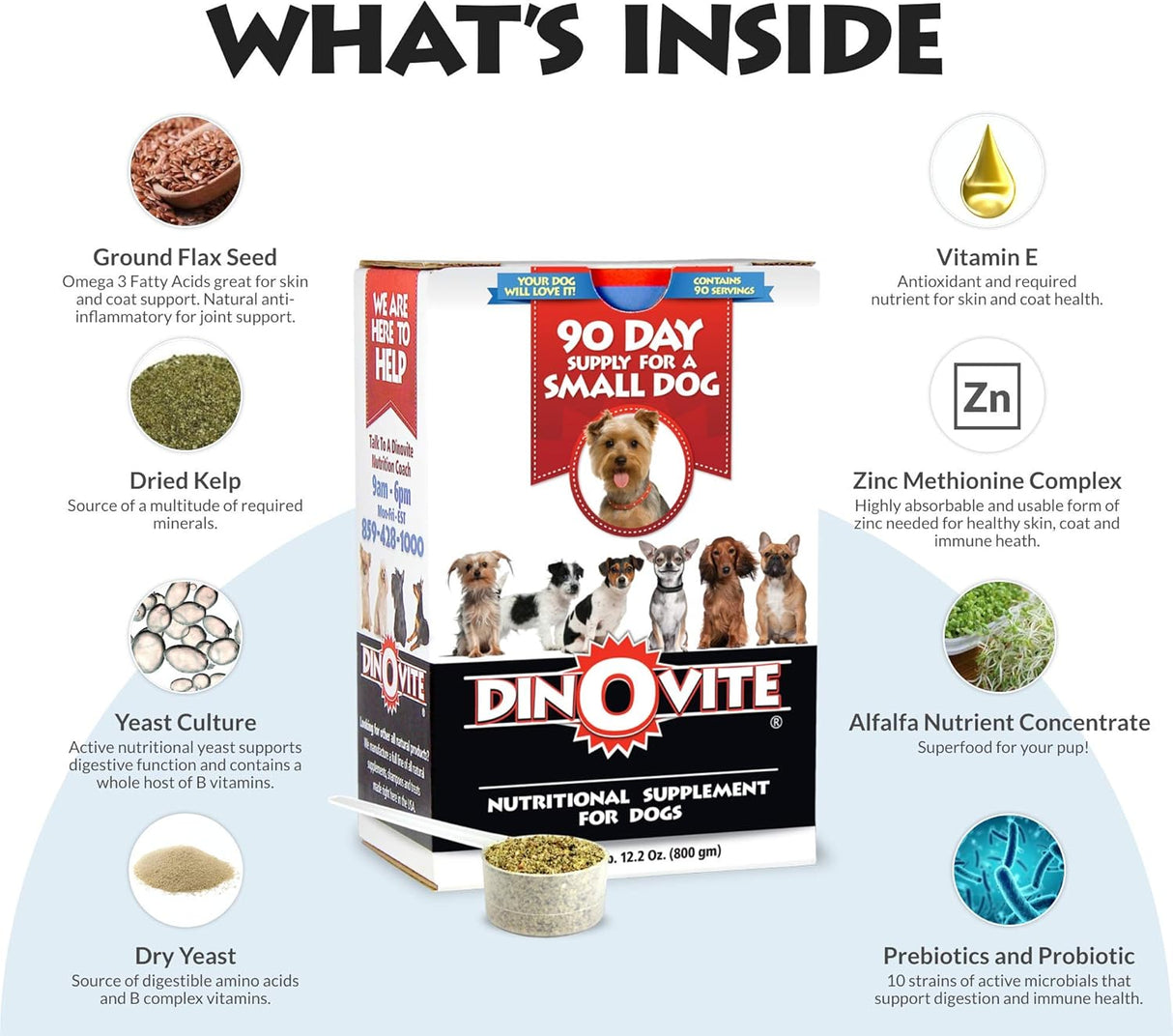 Vitaminas Suplemento probiótico para perros