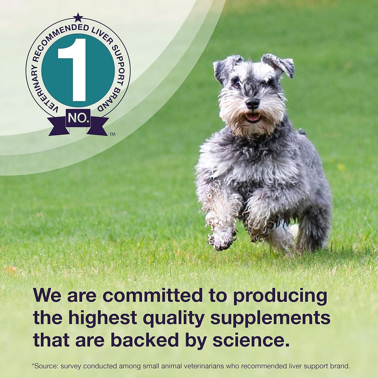 Vitaminas o Tabletas de denamarina para gatos y perros