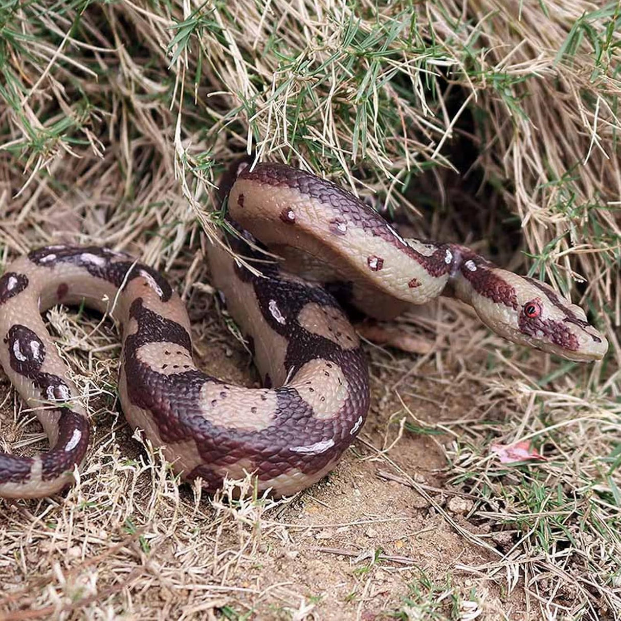2 figuras de serpiente falsas realistas de goma de broma