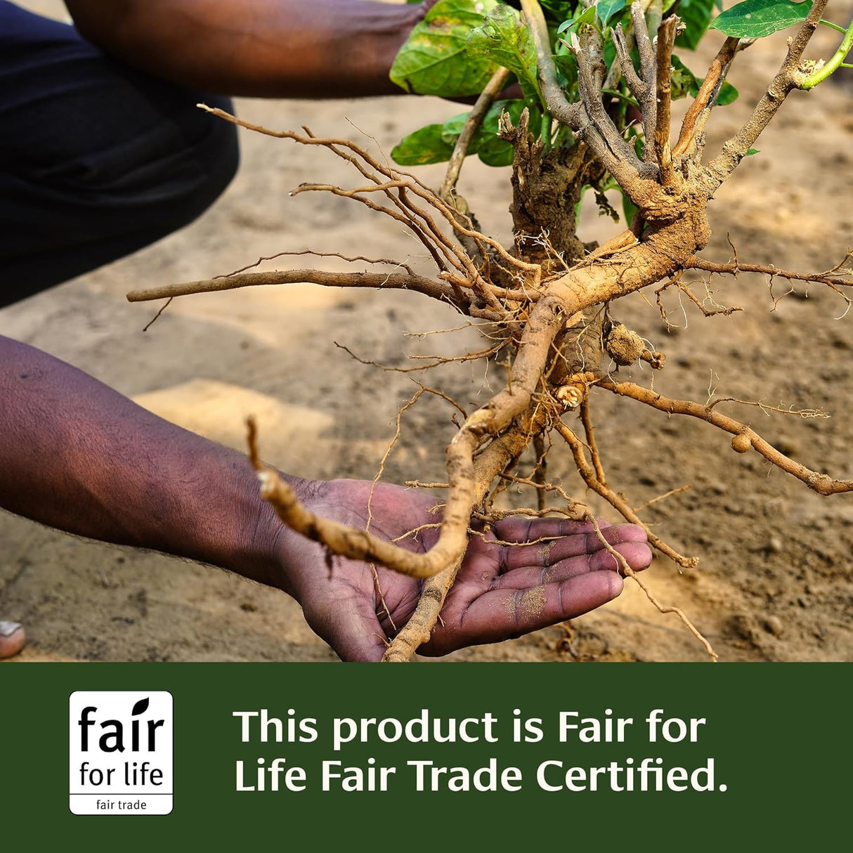 Tabletas de Ashwagandha Banyan Botanicals – Orgánico, 90 pcs