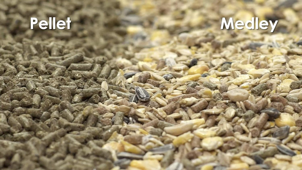 Kaytee Forti-Diet Pro Health Chinchilla Alimento 3lb