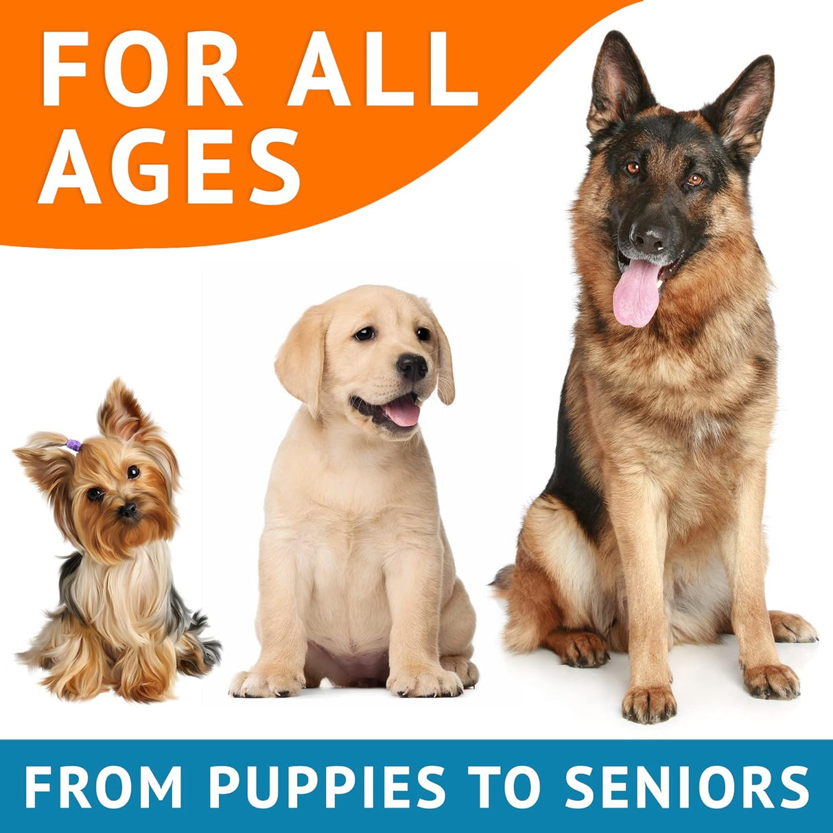 Vitaminas Aceite de pescado para perros Alivio de la piel