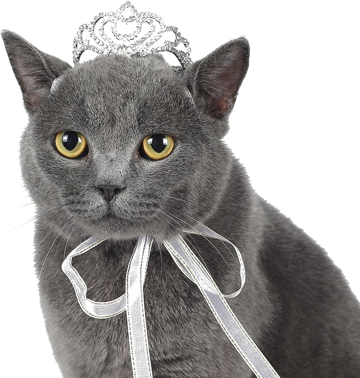 Disfraces para Perro talla única