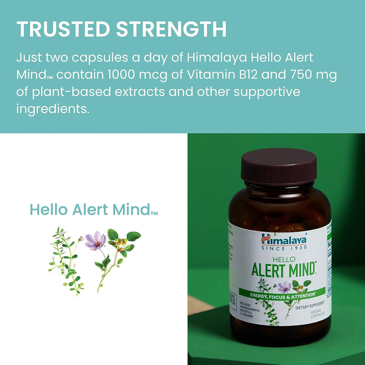 Himalaya Hello Alert Mind con Ashwagandha Bacopa L-teanina