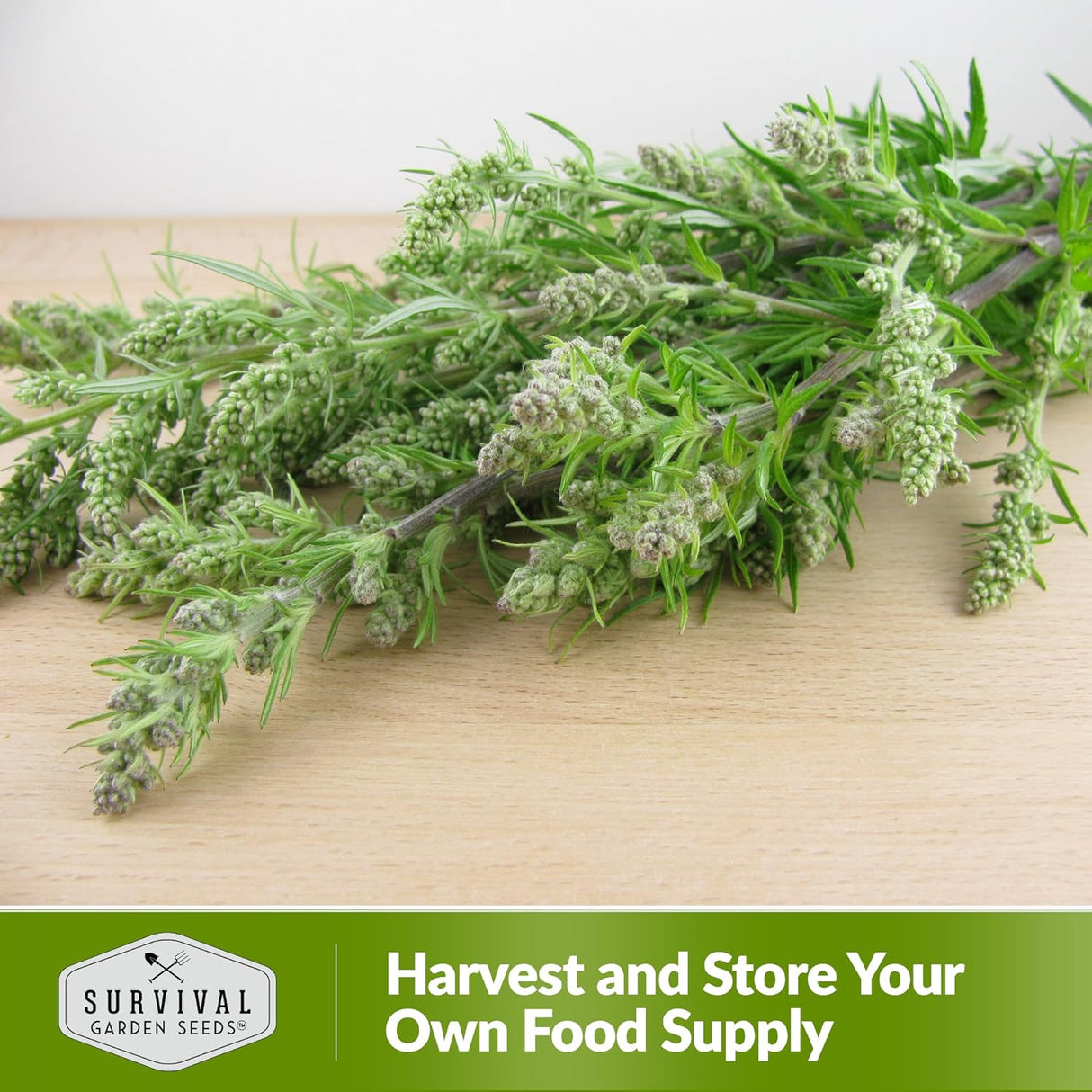 Semillas de Artemisa Común - Heirloom, No GMO - 1 Paquete