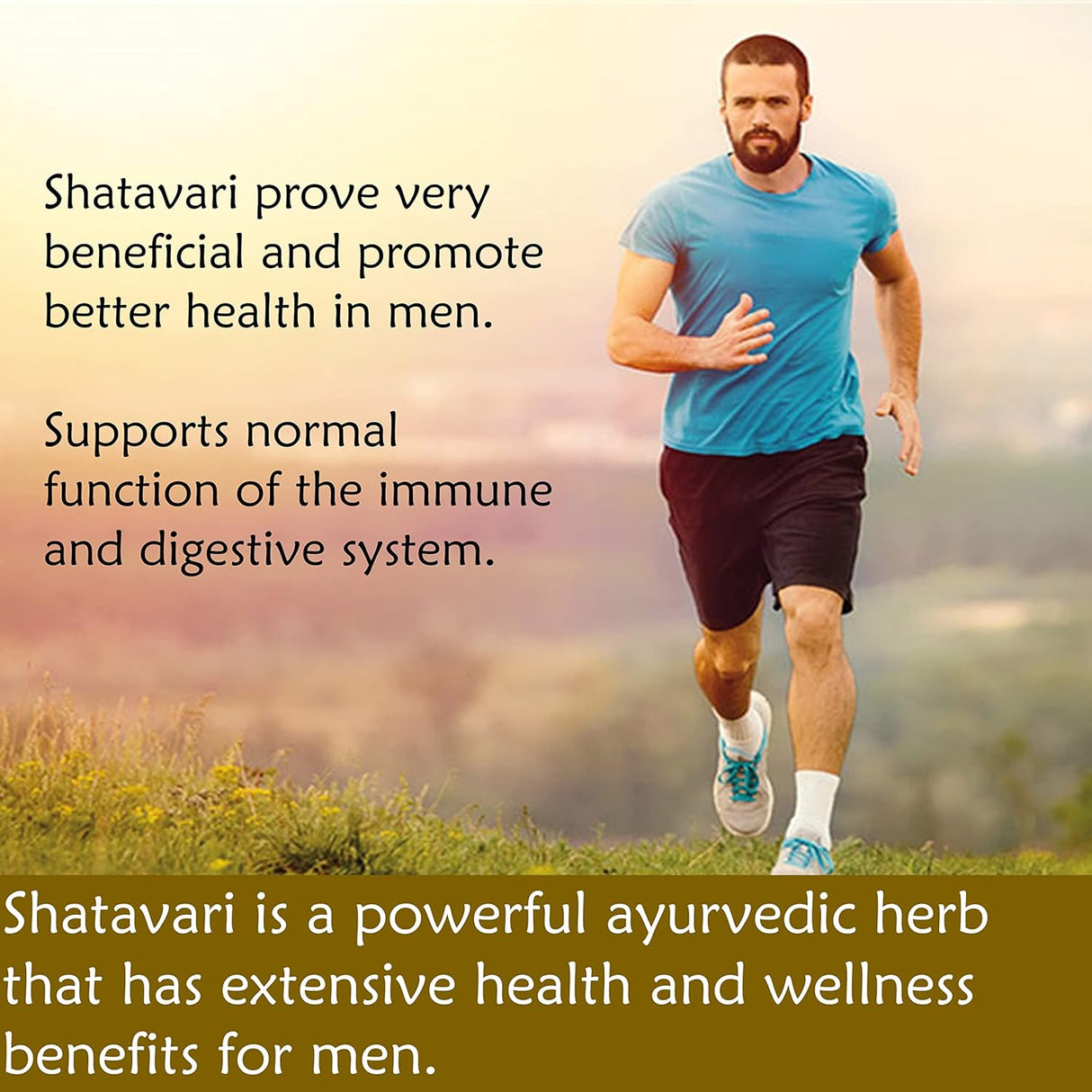 Suplemento Cápsulas Shatavari. 120 cápsulas vegetales HPMC