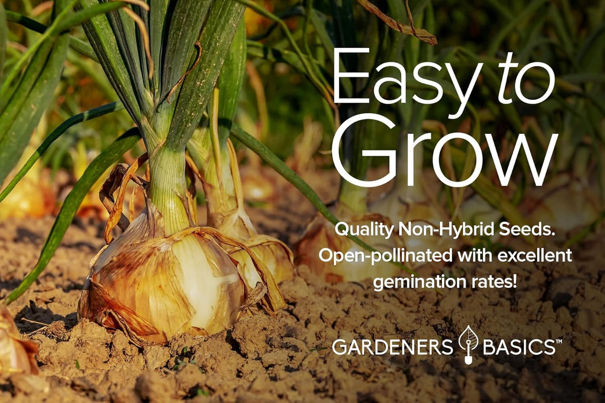Semillas de Cebolla para Plantar - Gardeners Basics, 8 Variedades