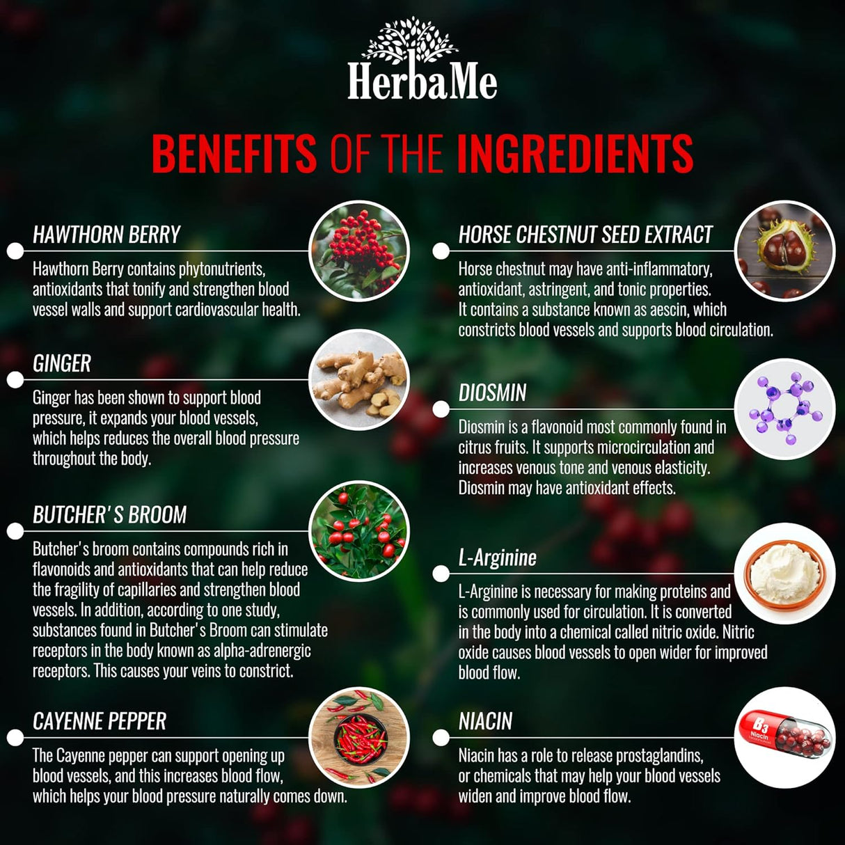 Suplementos Alimenticios de circulación sanguínea