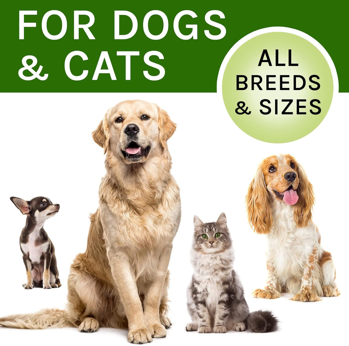 Vitaminas Gotas para la tos de la perrera para perros