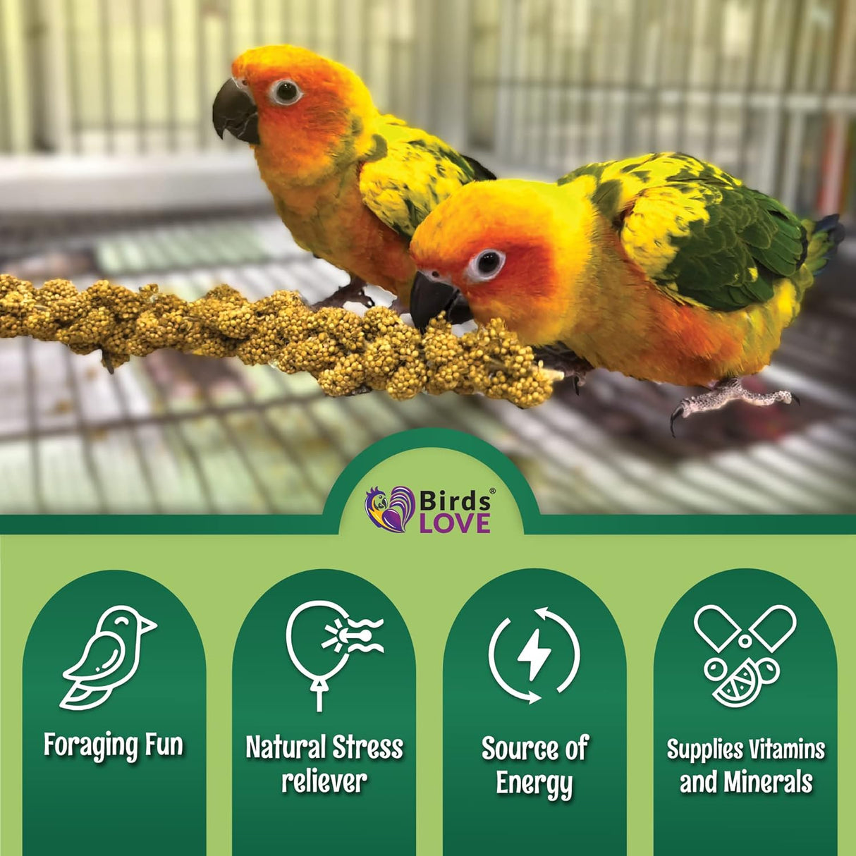 Mijo de golosinas secado al sol para pájaros mascotas