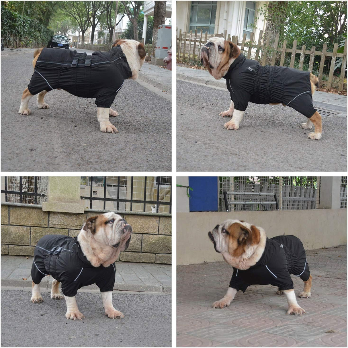 Chaqueta impermeable para perros, segura, ligera, XXL