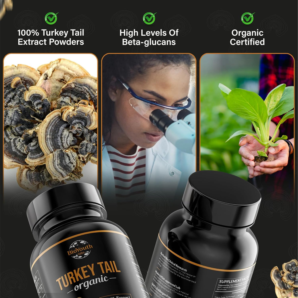 Extracto Orgánico de Cuerpo Fructífero de Cola de Pavo, Sin GMO