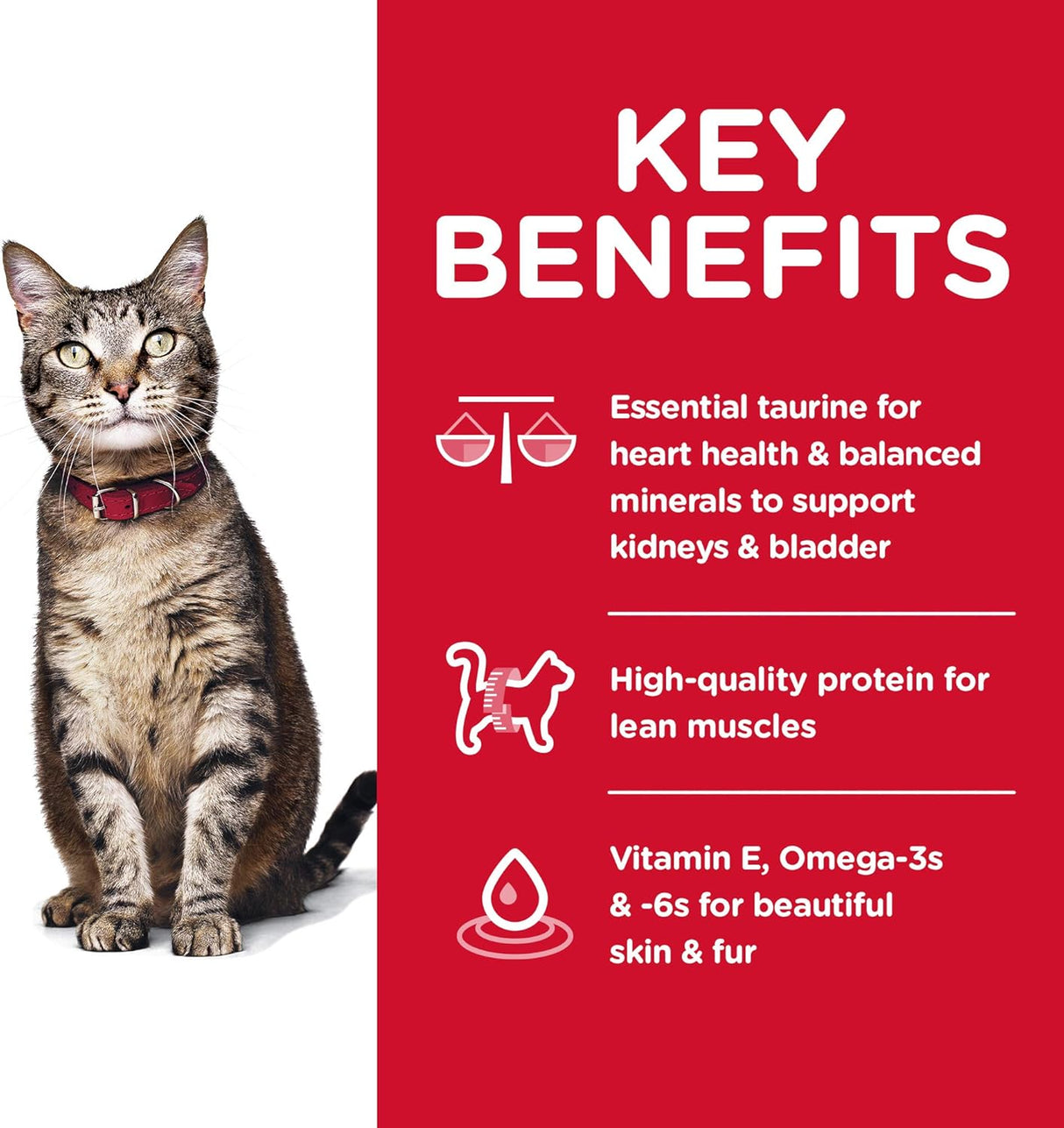 Alimento seco para gatos adultos, para un cuidado óptimo