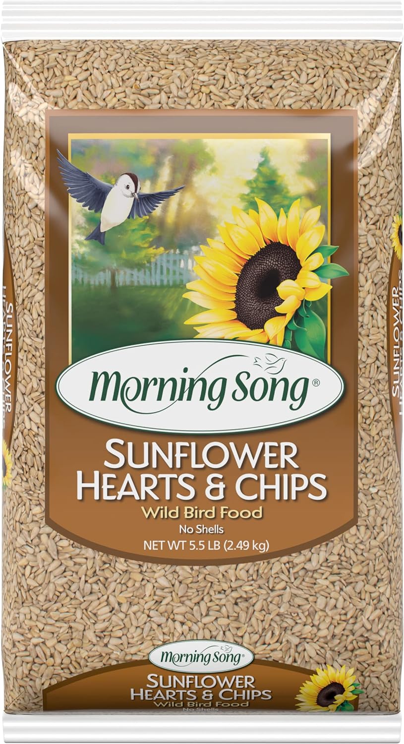 Alimento para aves Morning Song, semillas de girasol sin desechos 5.5 lb