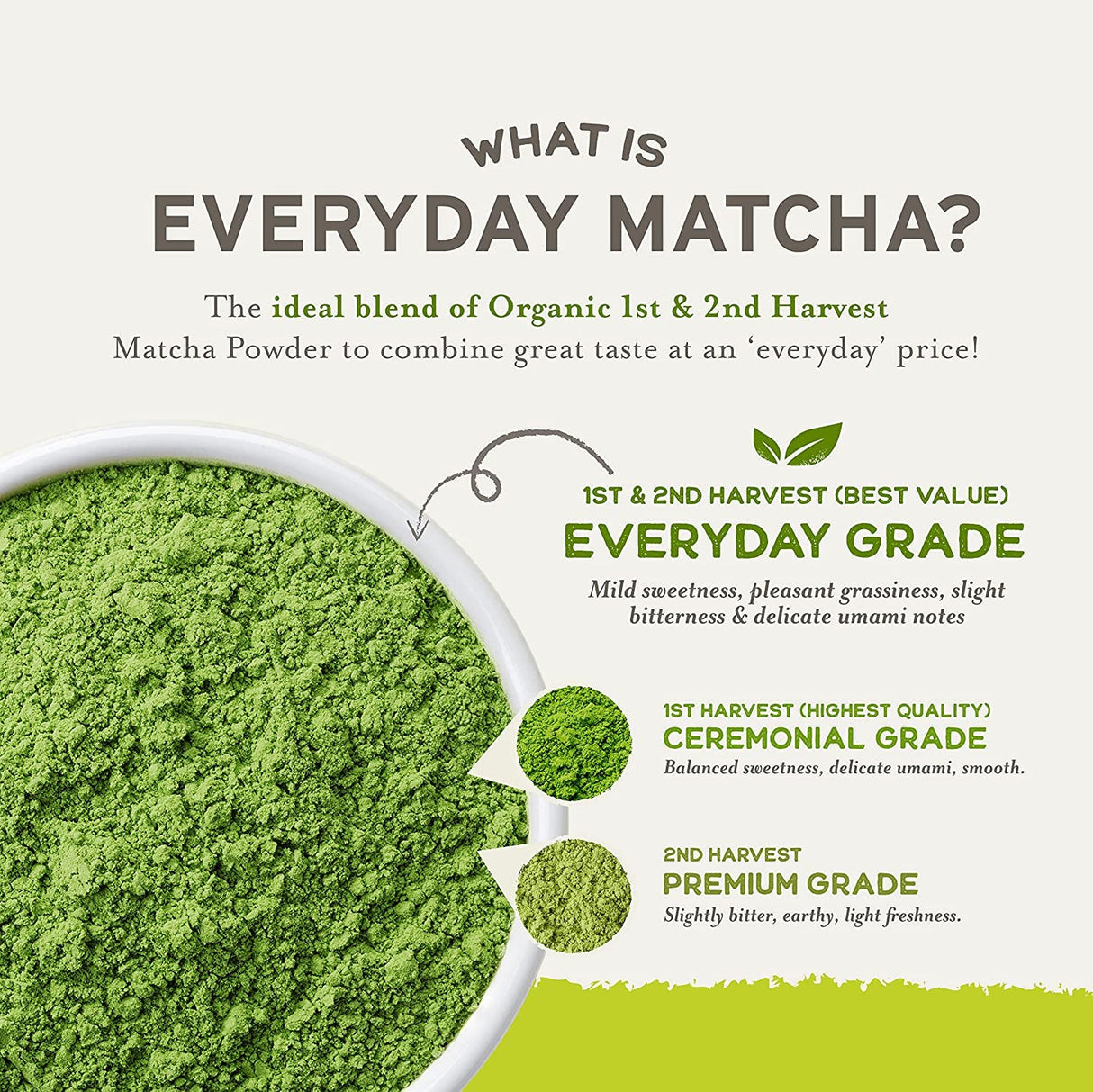 Eveyrday Matcha Verde Orgánico 12oz Sencha Antioxidante