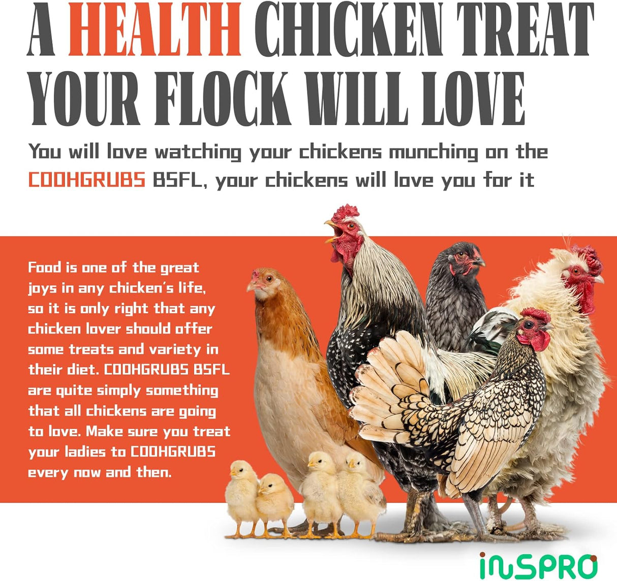 Larvas de mosca secas de alta calidad, para gallinas y demas