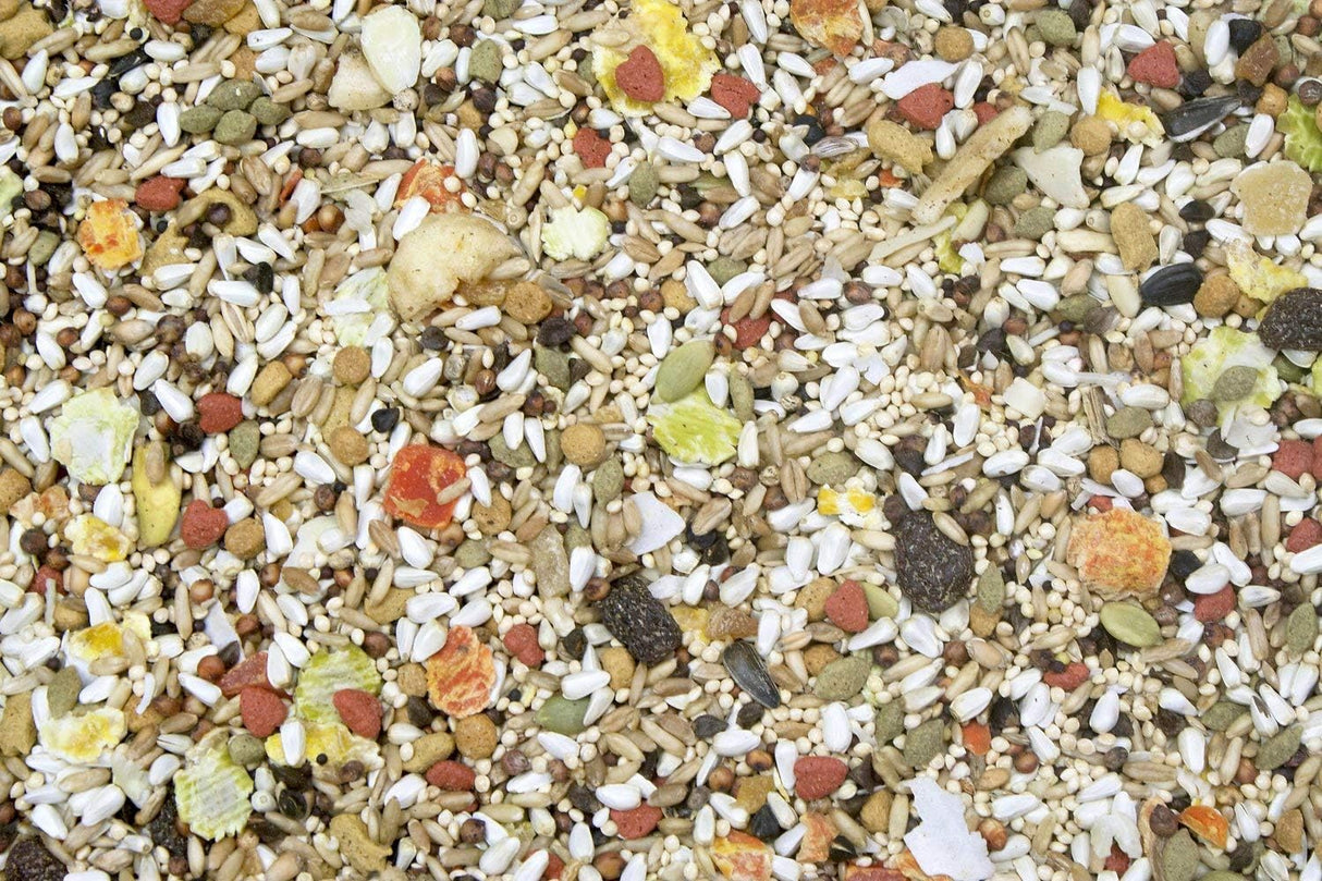 Higgins Paquete de 2 de mezcla natural de conure 3 libras.