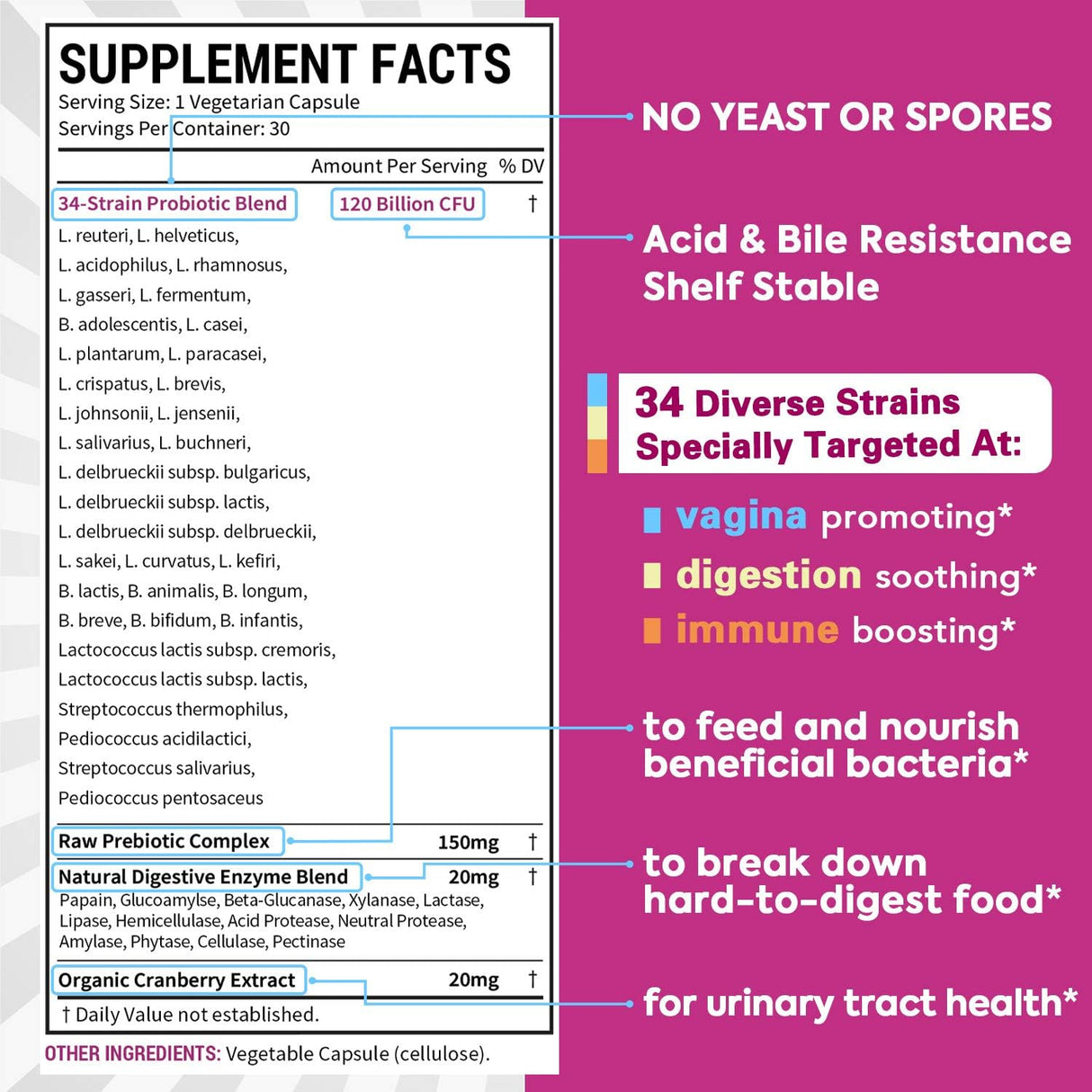Suplementos Alimenticios prebióticos enzimas