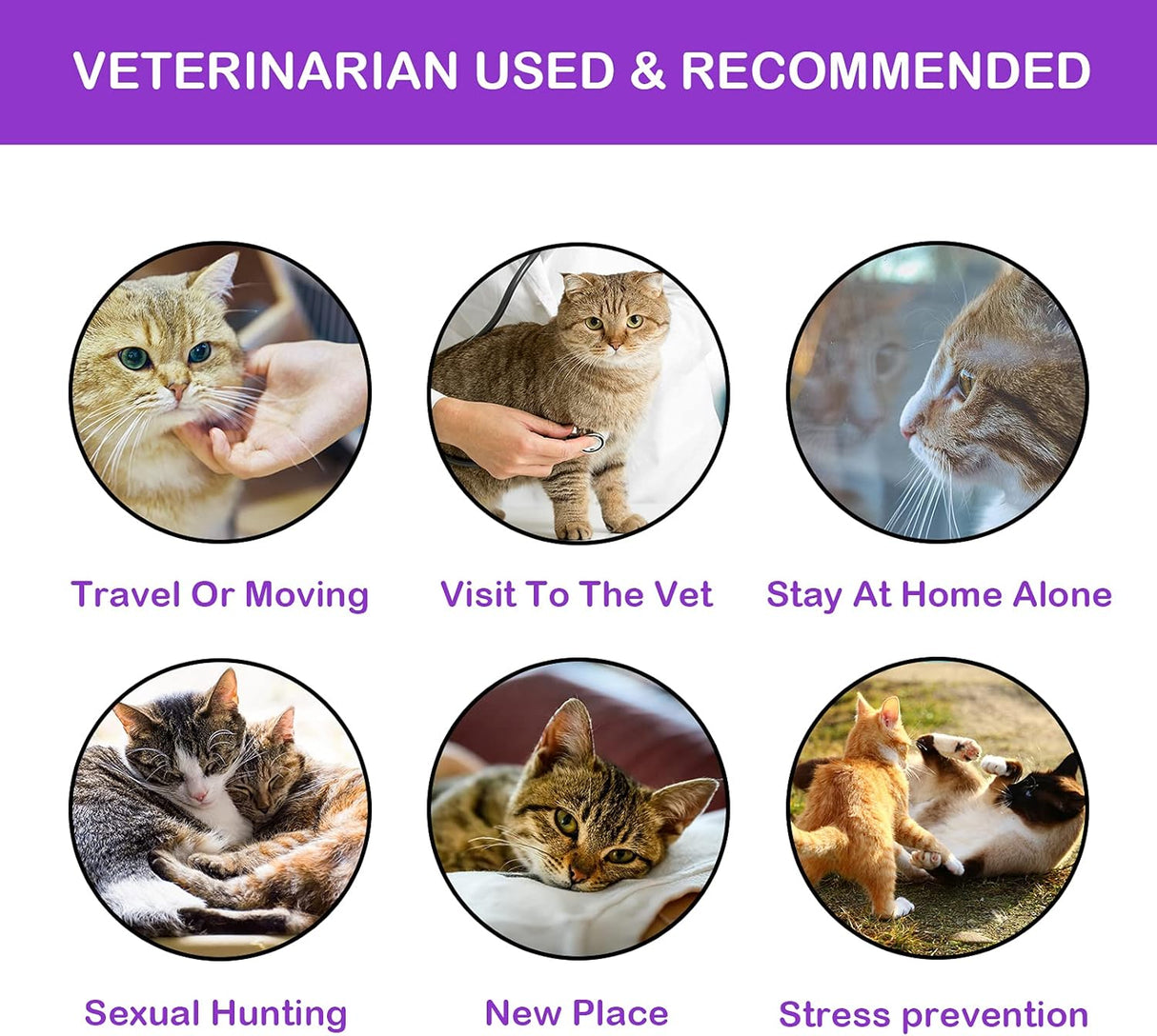 Paquete de 4 collares calmantes para gatos Rinetics