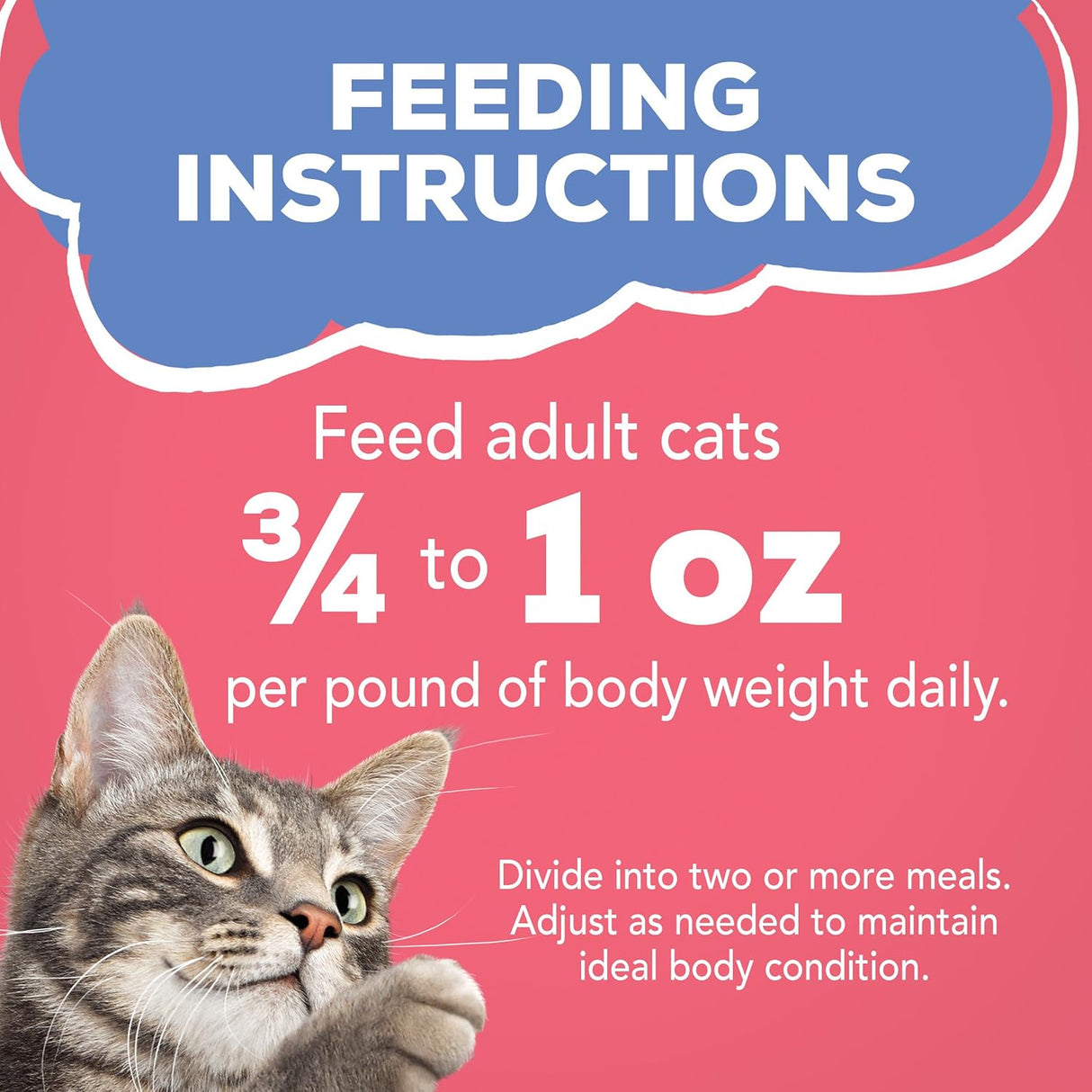 Alimento para gatos 24 unidades