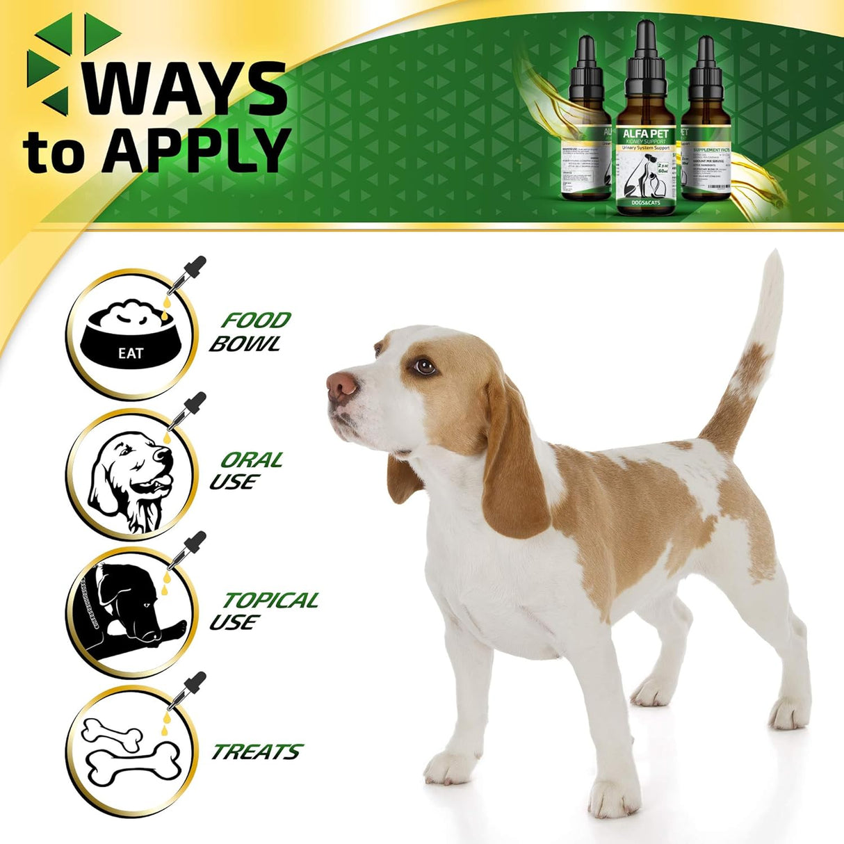 Vitaminas Cuidado del tracto urinario canino con arándano