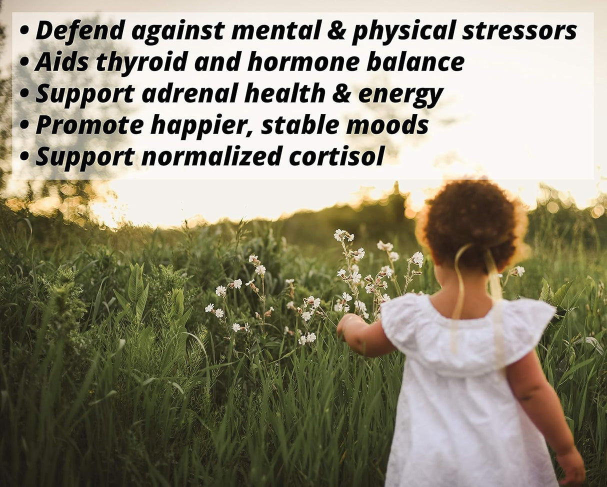 Suplementos Alimenticios polvo orgánico