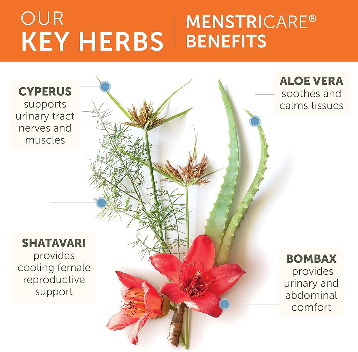 Himalaya MenstriCare para el síndrome premenstrual 120 und