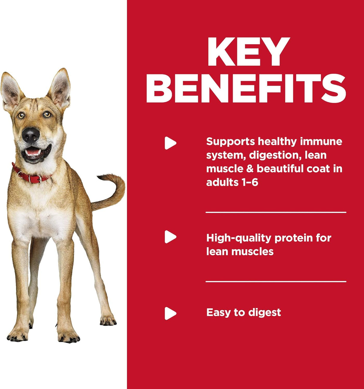 Alimento para Perros Paquete variado de 12