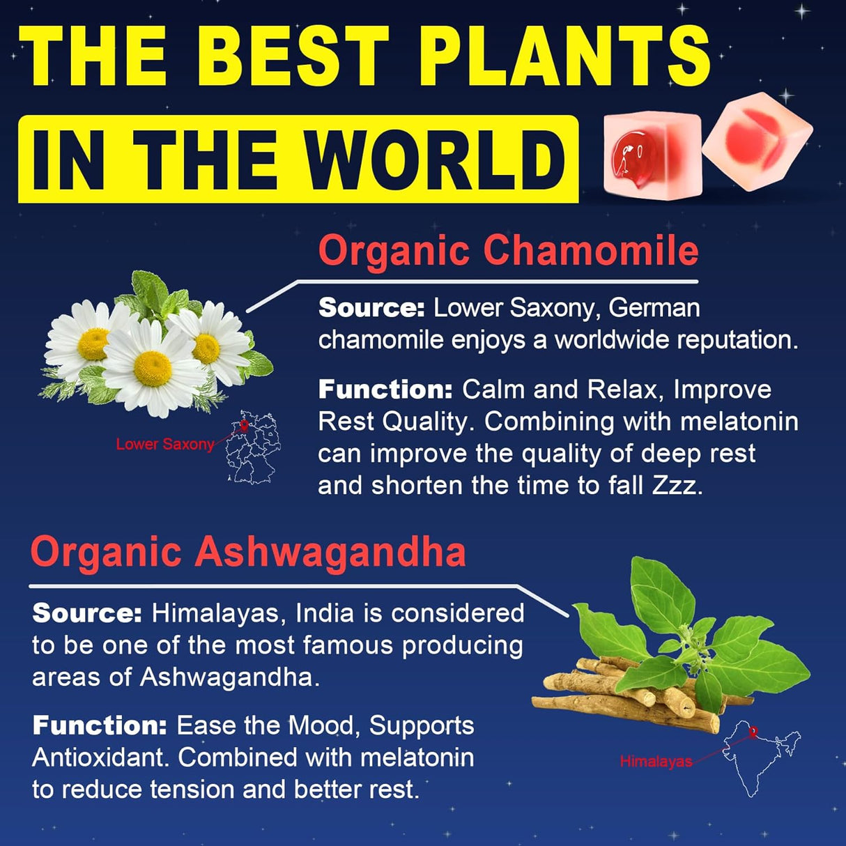 Gomitas de melatonina sin azúcar, 10 mg 20 mg con glicinato