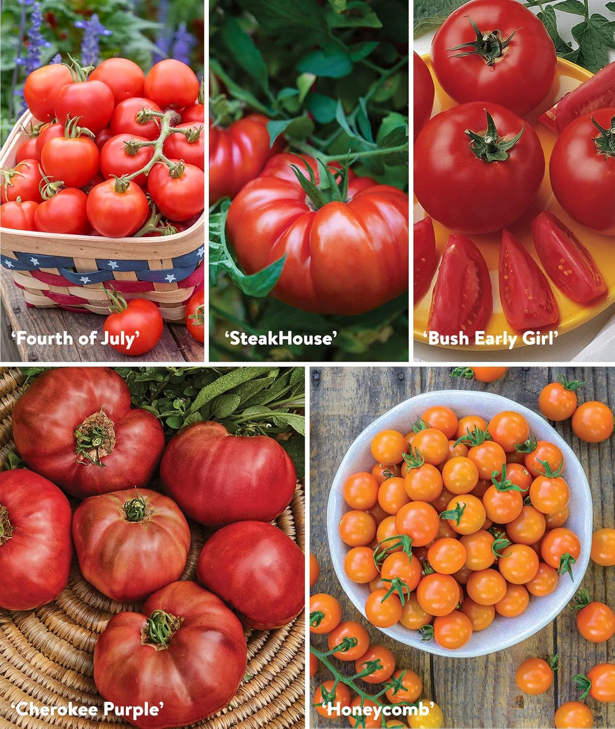 Semillas de Tomate No GMO Burpee, 10 Mejores para Jardín