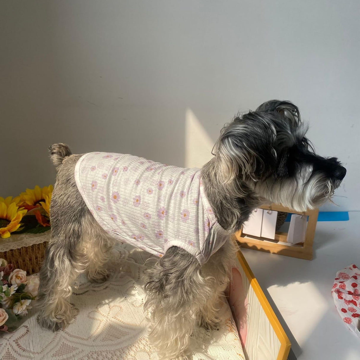 Camiseta de Verano para Mascotas Estampado de Margarita