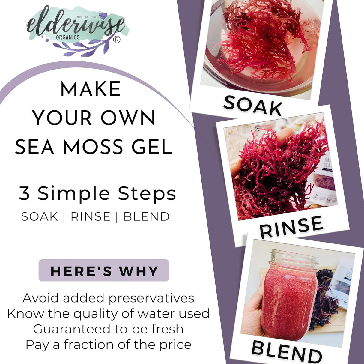 Alga Marina Sundried WILDCRAFTED Gel 24oz Raw + Non GMO