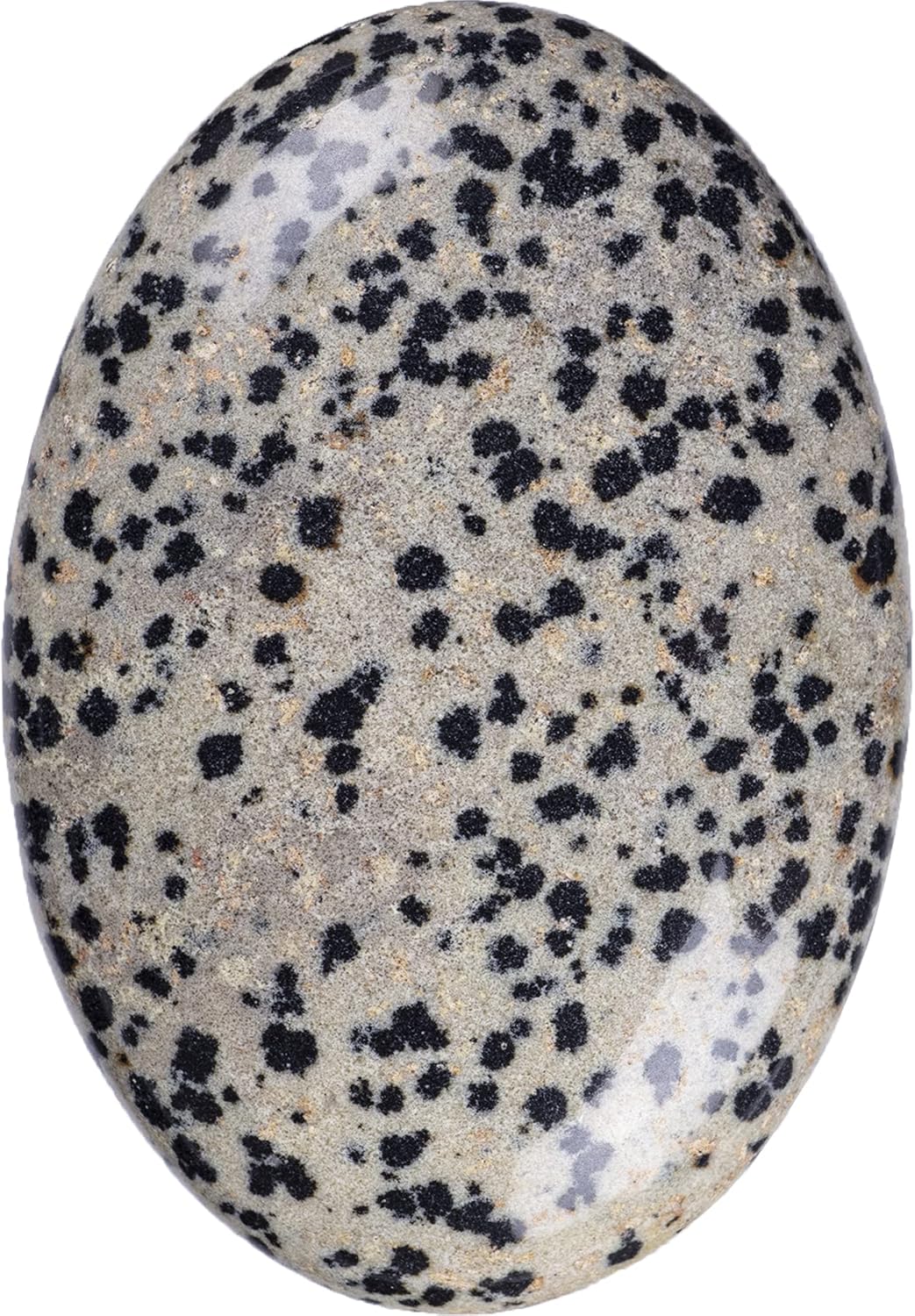 Piedra de Palma de Jaspe Dálmata - Cristal Sanador Ovalado