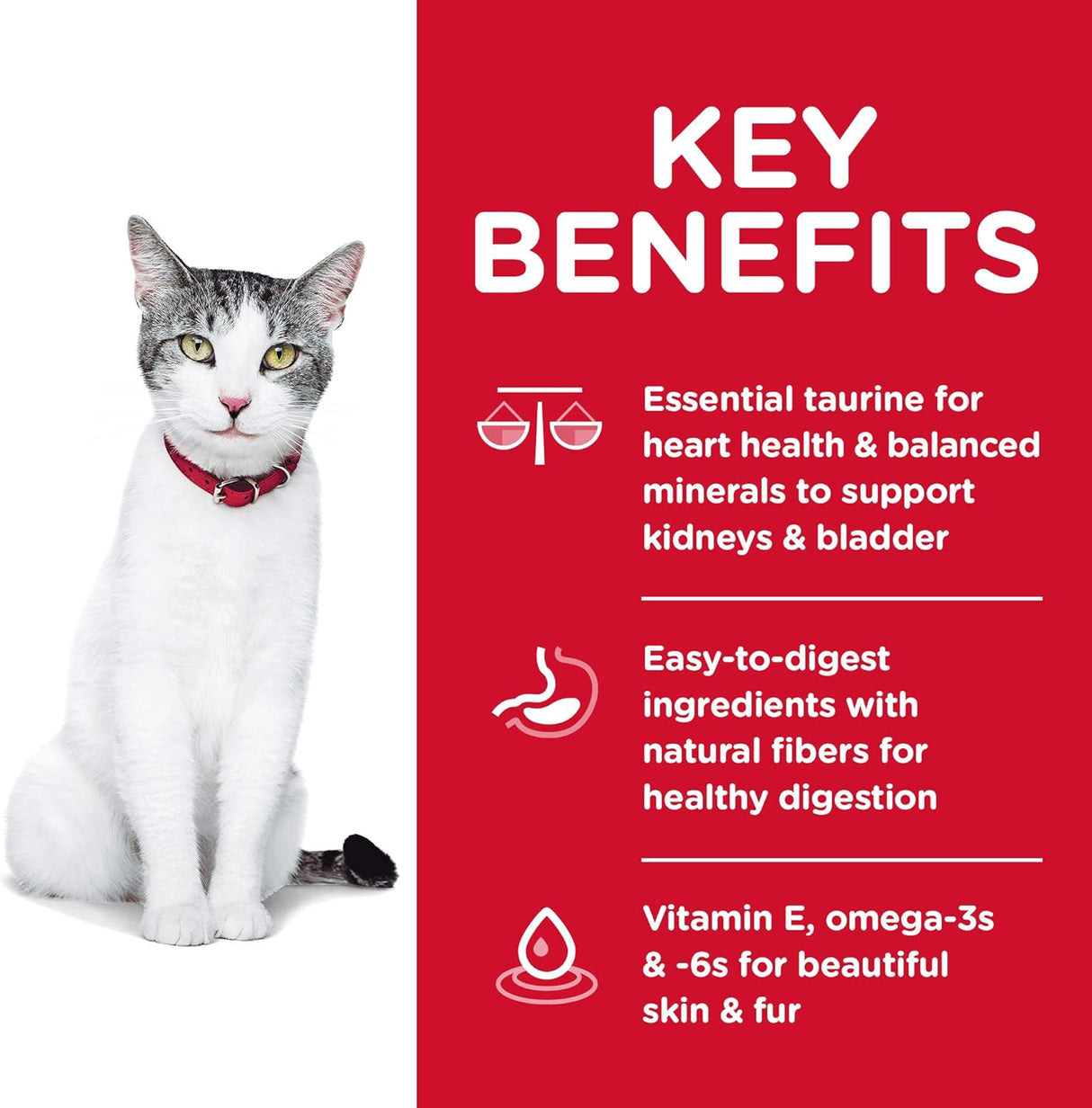 Alimento para gatos adultos de más de 11 años