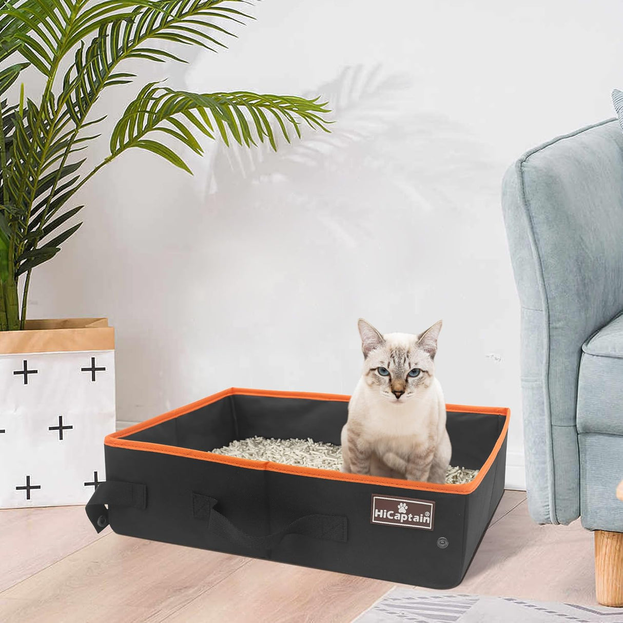 Caja de arena plegable para viajes en automóvil negro