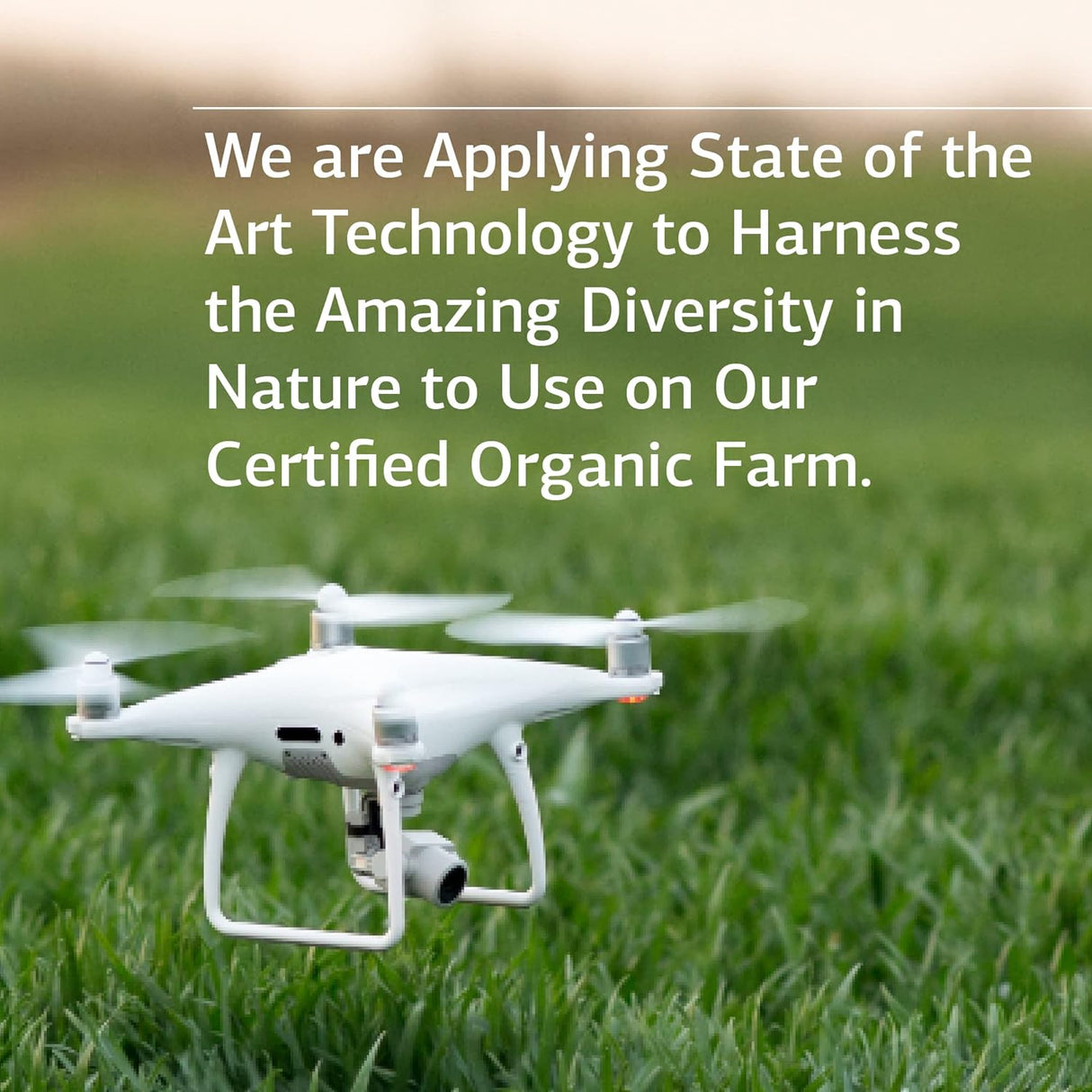 Suplemento Quelato de zinc Digestión de alimentos enteros