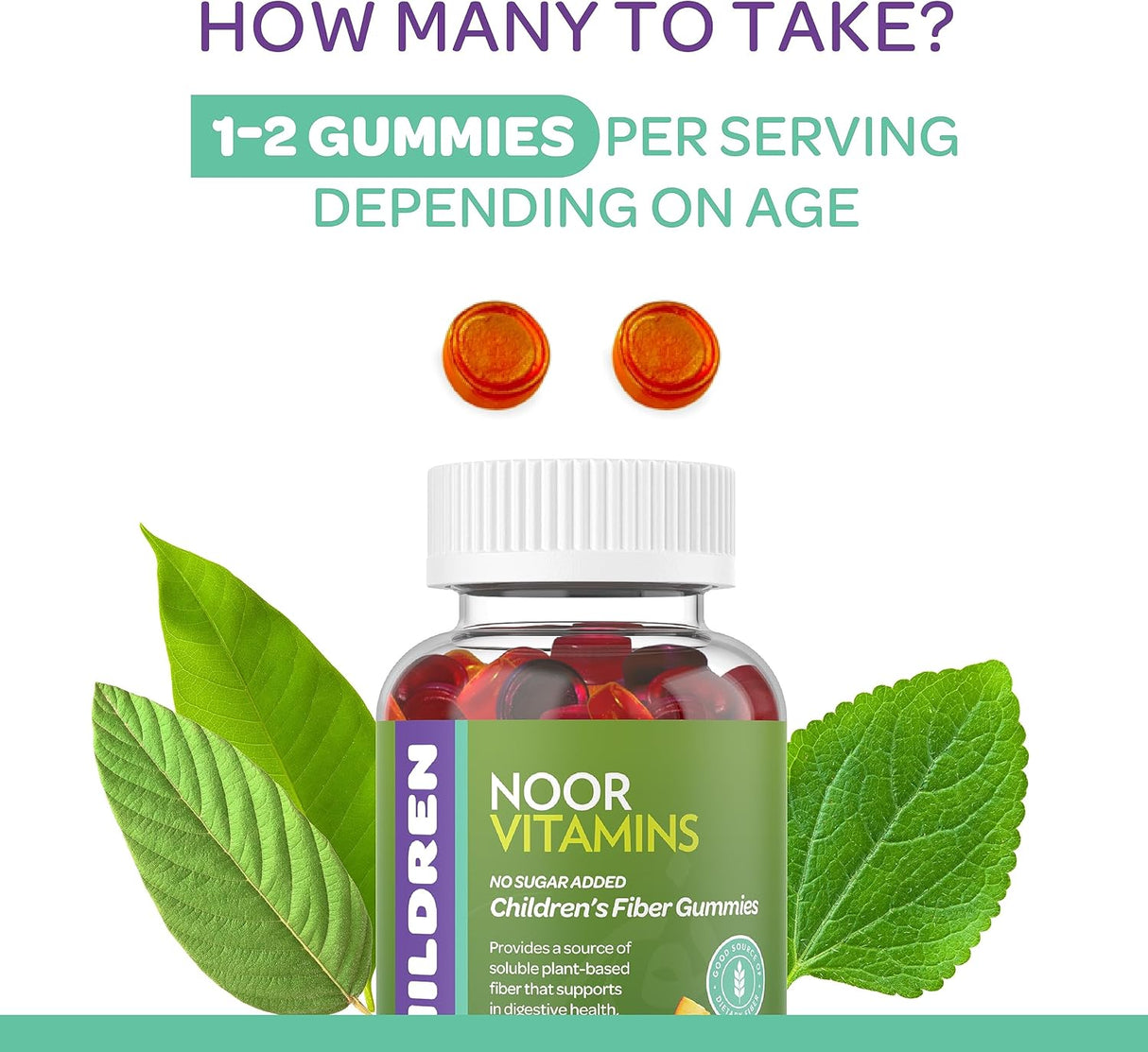 Suplementos de fibra prebiótica a base de plantas