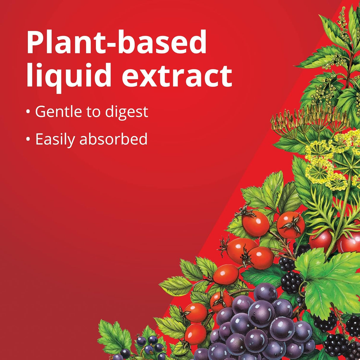 Suplementos Alimenticios vegetariano para apoyo energético