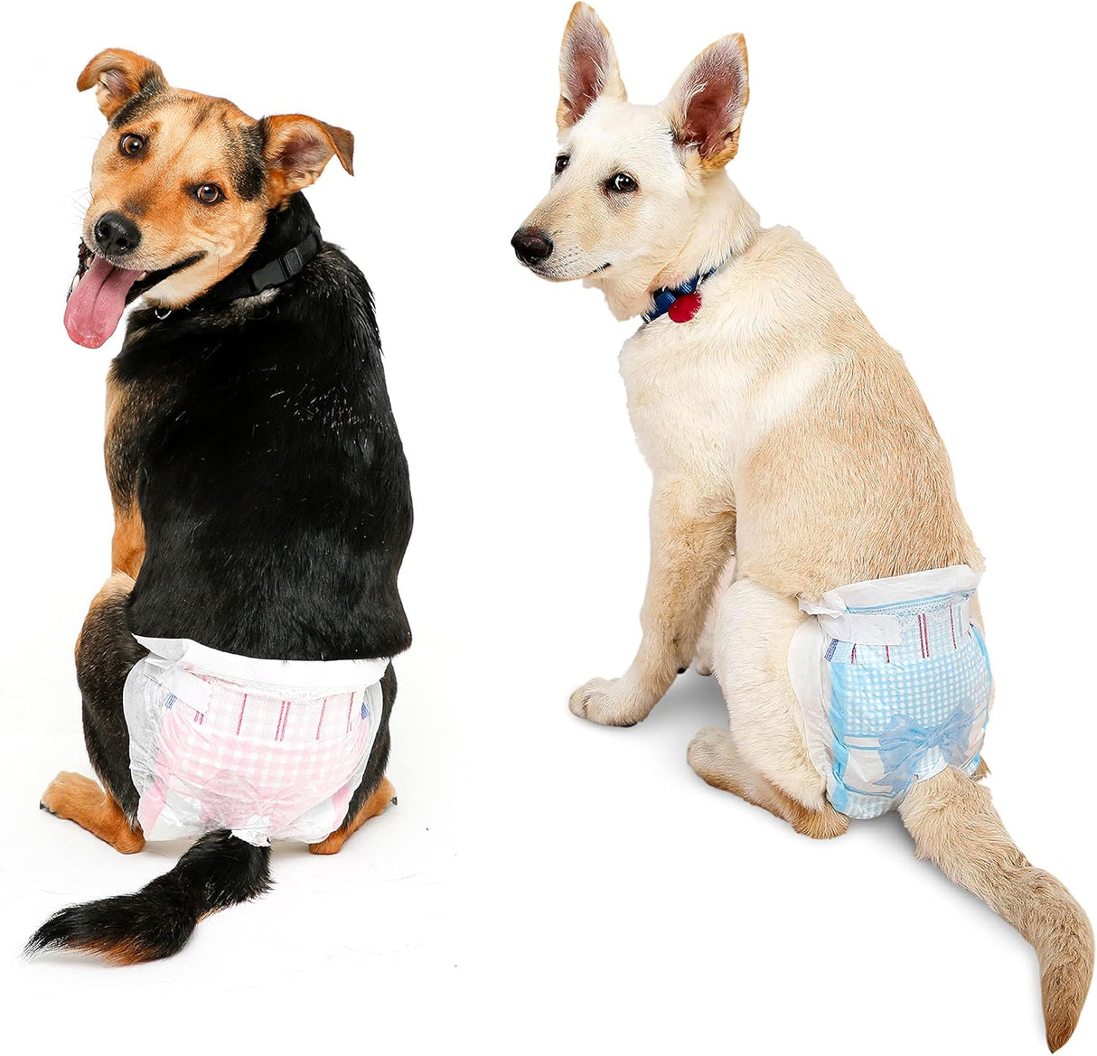 Pañales desechables para perros con tecnología FlashDry Gel - M, 32 unidades