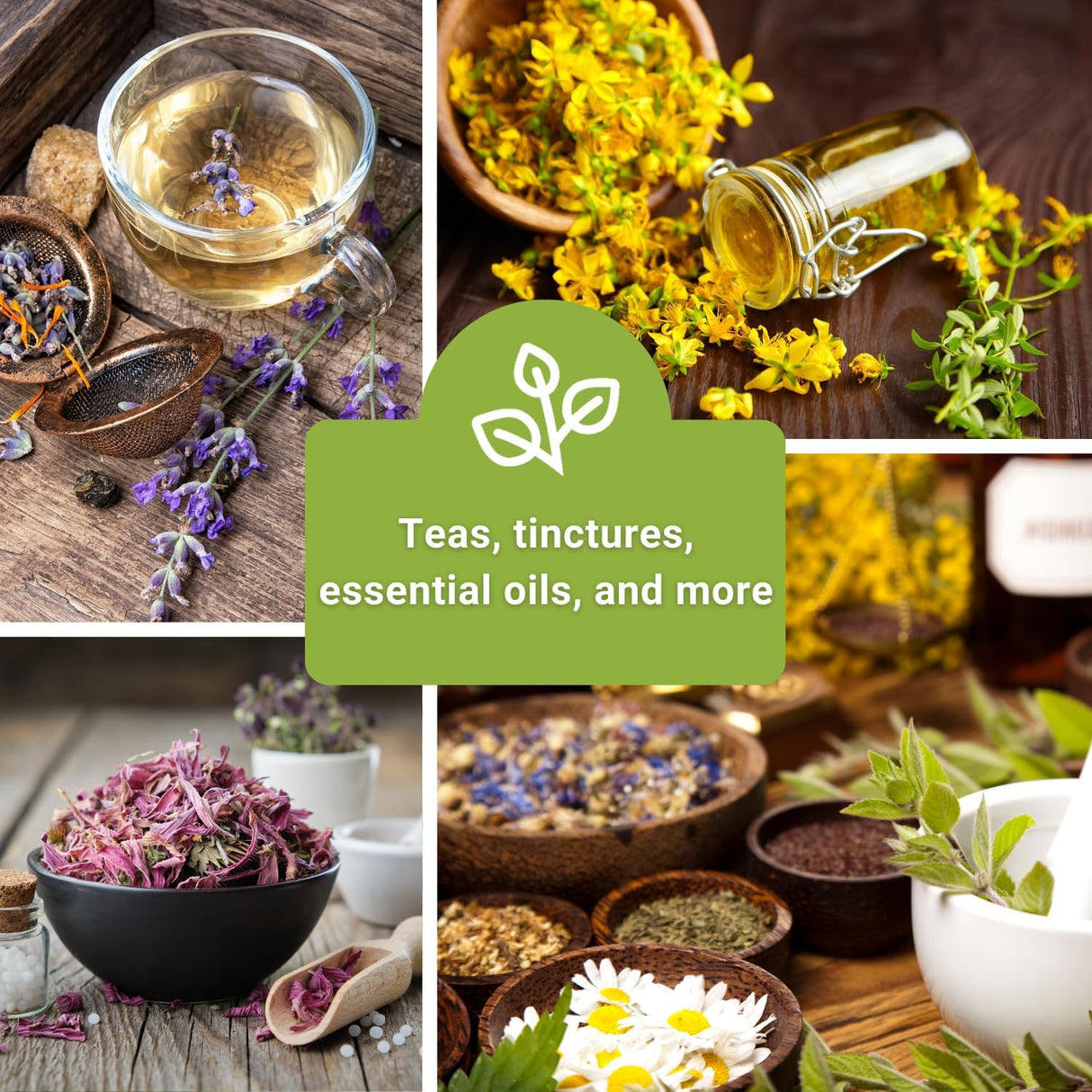 Colección de Semillas de Hierbas Medicinales - Sow Right Seeds