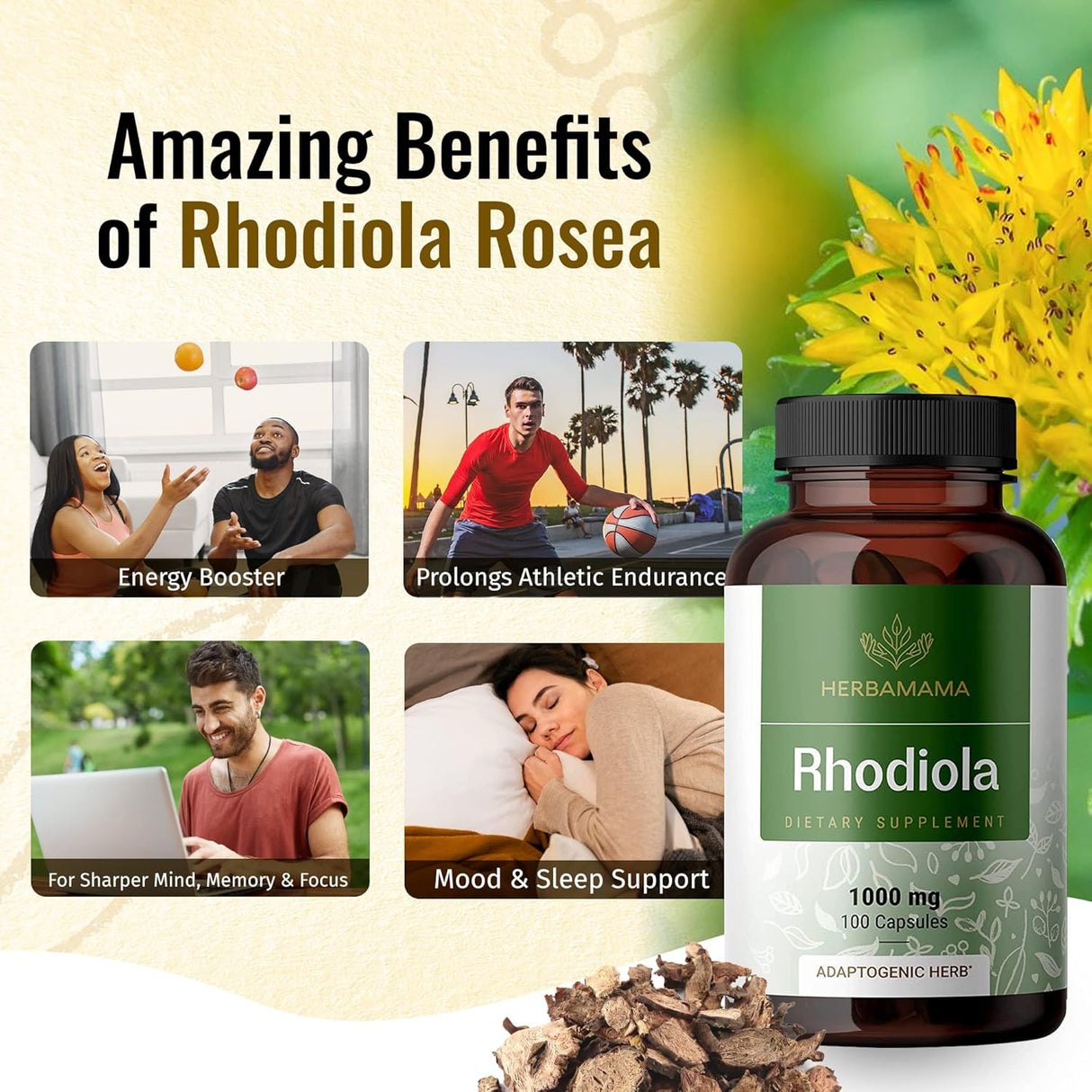 Suplemento Rhodiola Rosea Cápsulas orgánico de hierba 100und