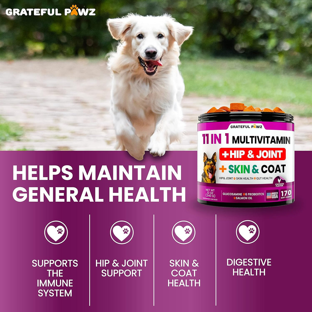 Vitaminas Multivitamínico masticable para perros