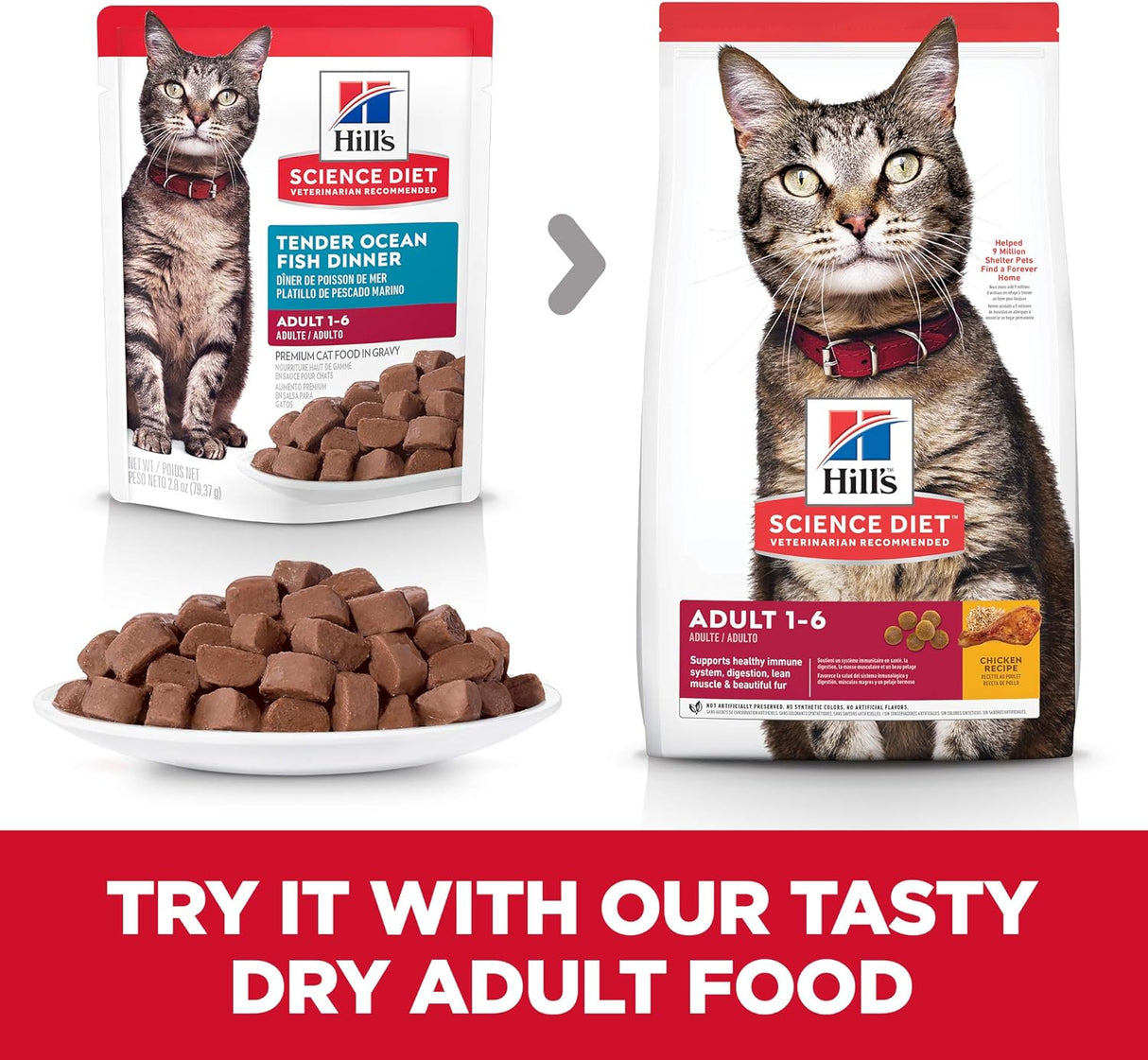 Alimento húmedo para gatos adultos pescado de océano