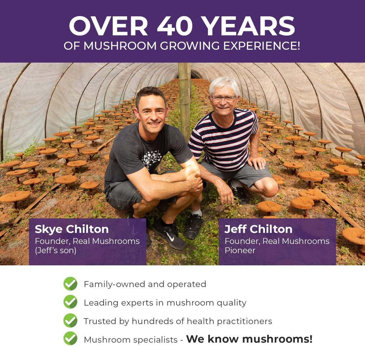 Suplementos Alimenticios de zinc para adultos Vitamina D2