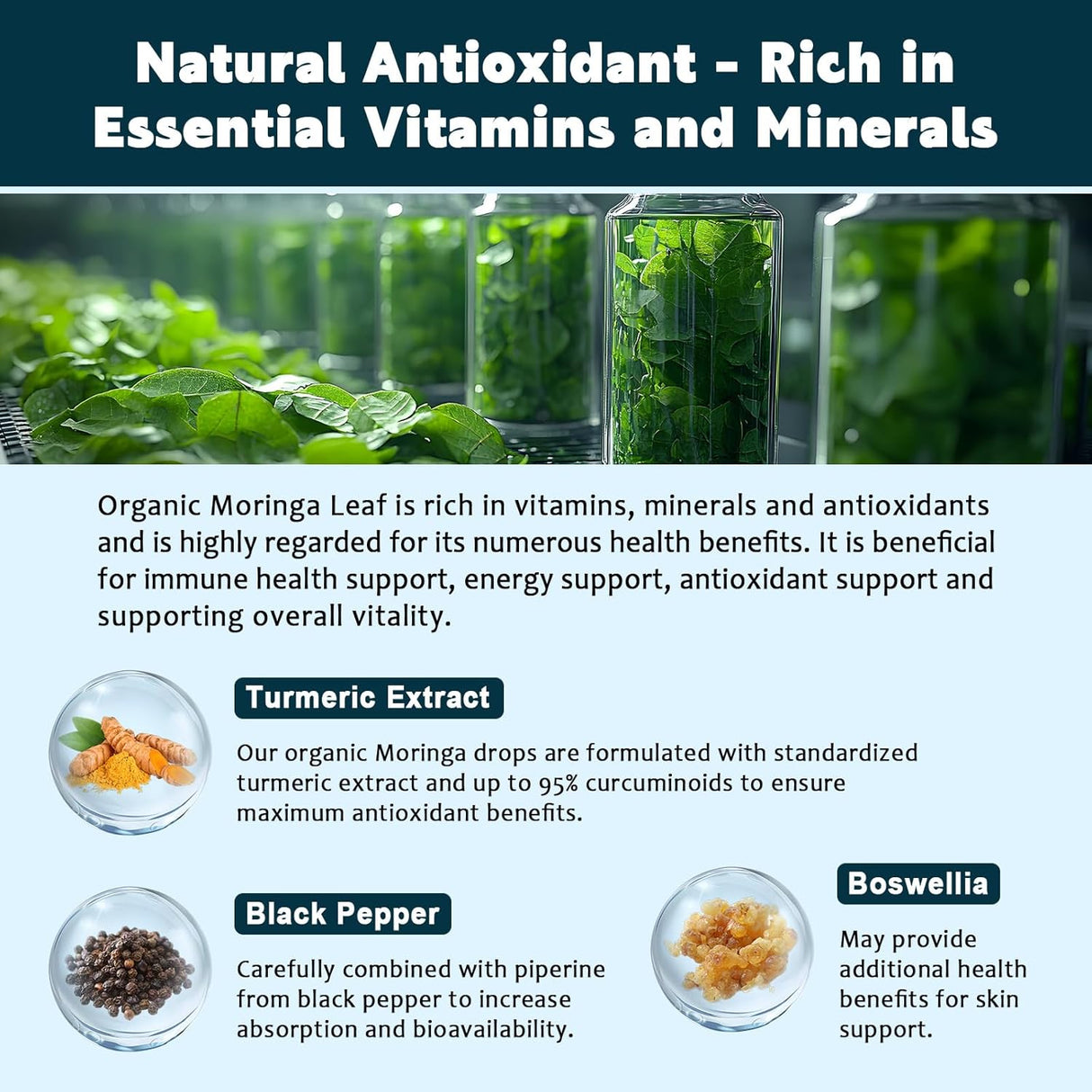 Moringa Orgánico Líquido 2pack Energía y Antiox 1oz