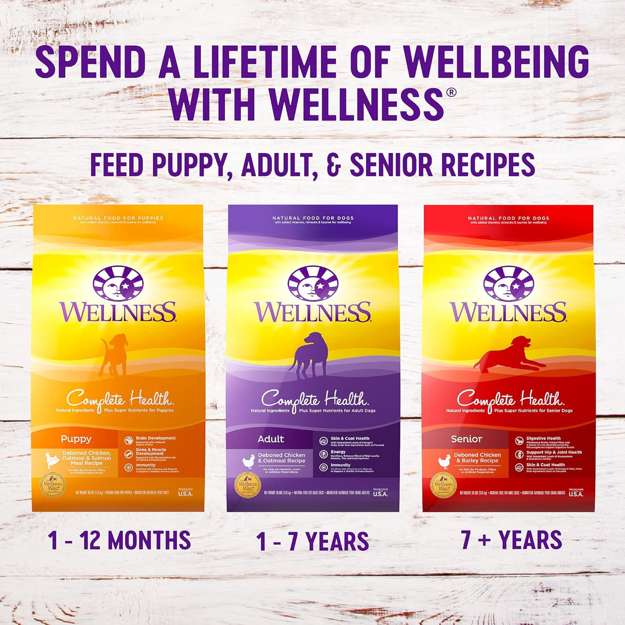 Alimento seco natural para perro, Wellness Complete Health