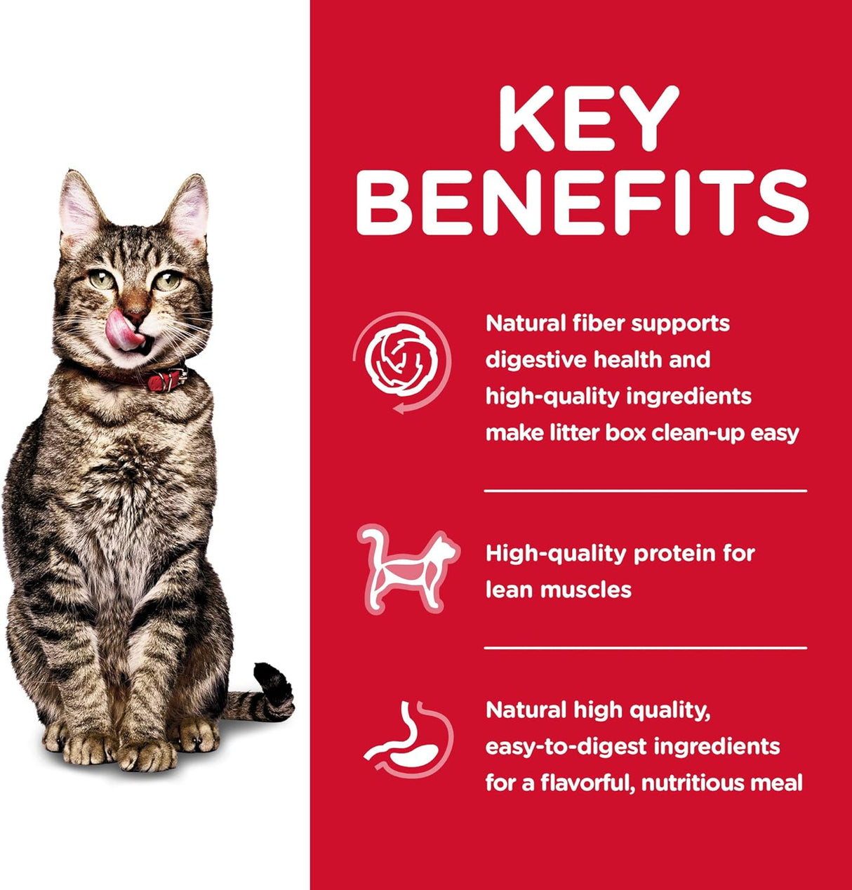 Alimento seco para gatos mayores de interior