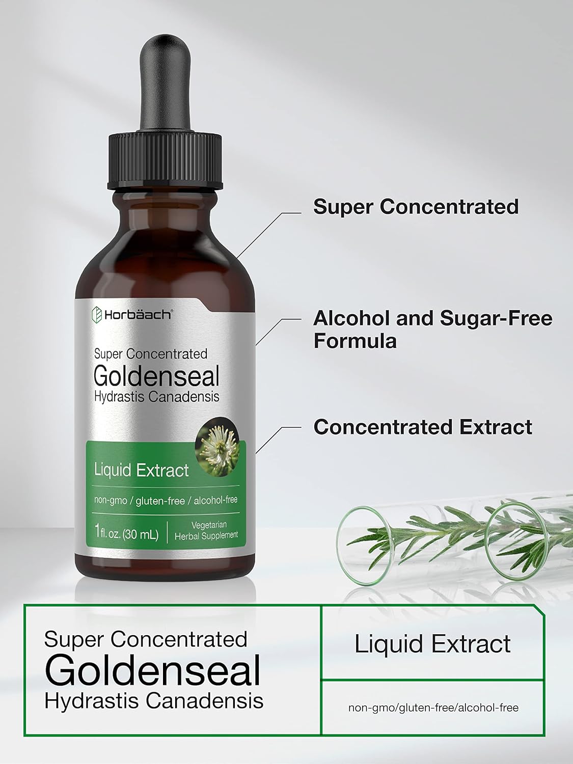 Suplemento Horbaach Extracto líquido de raíz Goldenseal 1oz