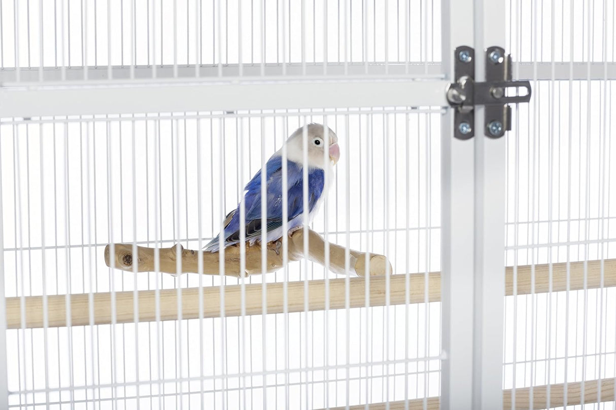 Jaula de vuelo de hierro forjado con soporte tiza blanca