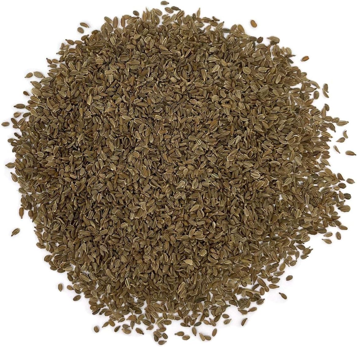 Semillas de Zanahoria Tendersweet - Old Farmer's Almanac - 2600 Semillas